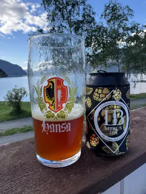 Chris_Ofstad's photo of Sitrus IPA