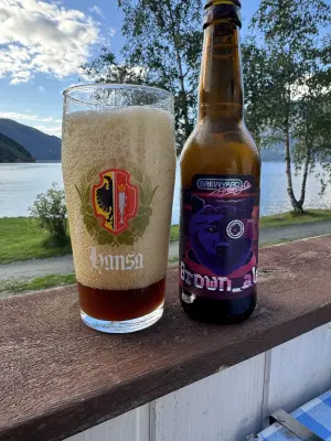 Chris_Ofstad's photo of Brown Ale
