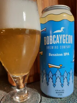 Metalchopz's photo of Day Trip Session IPA