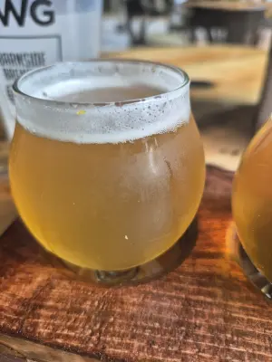 Lubiere's photo of Falling Giant Hazy IPA