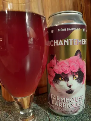 Metalchopz's photo of Enchantement
