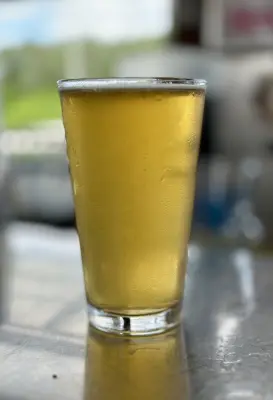 PLohbauer's photo of Boatyard Blonde