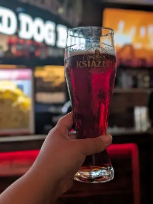 Synny's photo of Książęce Cherry Ale