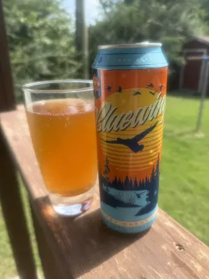 Irishboy's photo of Bluewing Berry Wheat