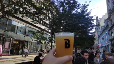 m3tr0pl3ks's photo of Dead Cat Double IPA