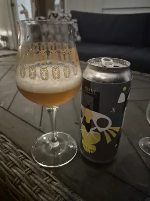 Lubiere's photo of Firefly
