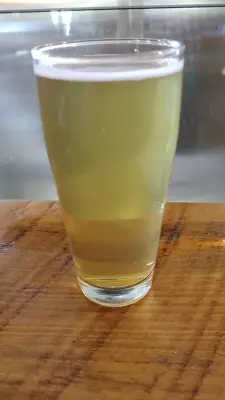 Clarkvv's photo of Zesty