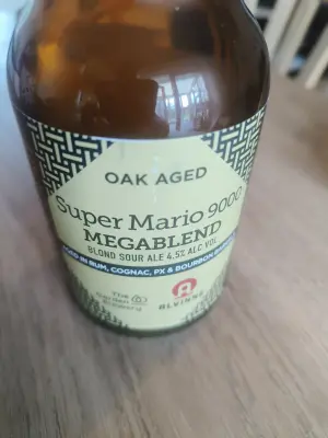 Charlotte's photo of Super Mario 9000 MEGABLEND