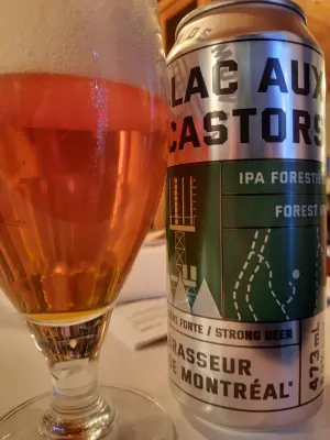 Metalchopz's photo of Lac aux Castors
