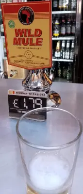 Deanso's photo of Wild Mule