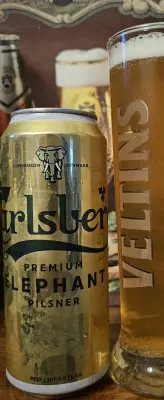 drpimento's photo of Elephant