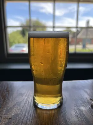 Grumbo's photo of Trapnell Pale