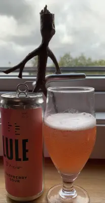RuneBlix's photo of Raspberry Sour
