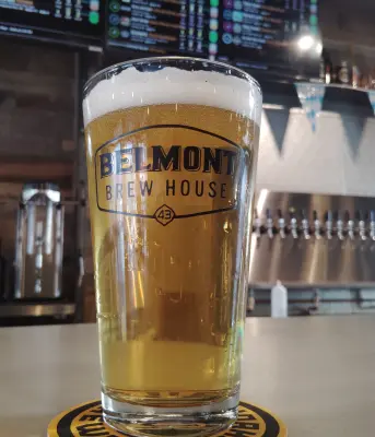 stevoj's photo of Cashmere Pale Ale