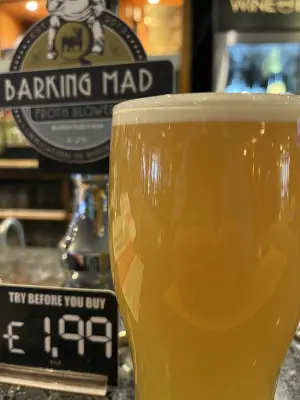 RichTheVillan's photo of Barking Mad