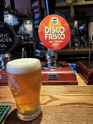 Mr_Pink_152's photo of Disco Frisco