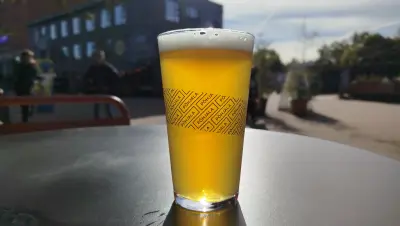 visionthing's photo of Mandarina
