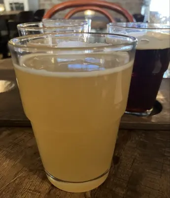 Reubs's photo of Citra Breath