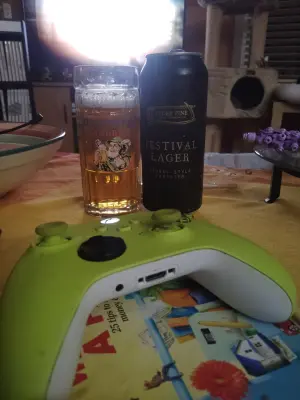 stevoj's photo of Festival Lager