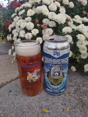 stevoj's photo of Stormtoberfest