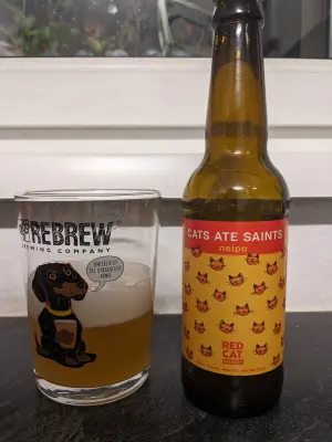 Goldbarren's photo of Cats ate Saints