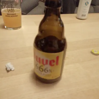 kamilgrzeszczak's photo of Duvel 6,66 (2024)