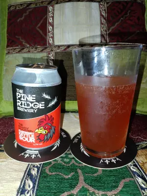 Pindolaire's photo of The Rowdy Roosters Raspberry Kettle Sour