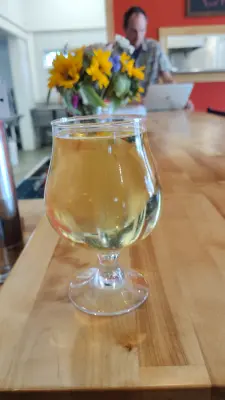 Clarkvv's photo of Liberty Cider - Grape Skins