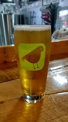 Clarkvv's photo of Festbier