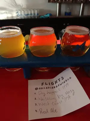 solidfunk's photo of Go Back To The West Coast IPA