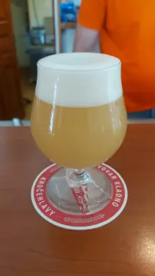 Gurthnar's photo of 12 Hop Trop Session NEIPA