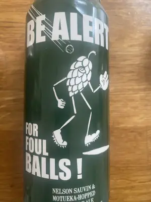 wyzzywyz22's photo of Be Alert For Foul Balls