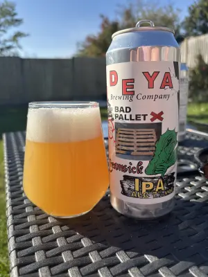 Mr_Pink_152's photo of Bad Pallet