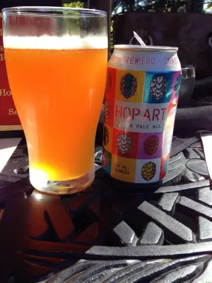 reidyboy's photo of HopArt IPA