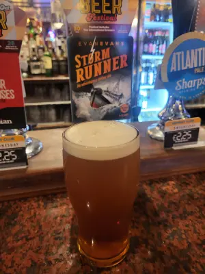 danlo's photo of Storm Runner