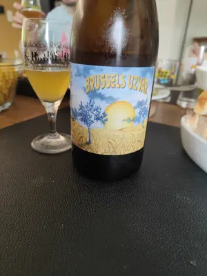 minutemat's photo of Brussels Uzvar