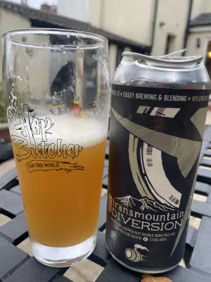 wyzzywyz22's photo of Transmountain Diversion Double IPA