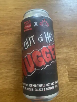 wyzzywyz22's photo of Bat out of Hell Nuggets