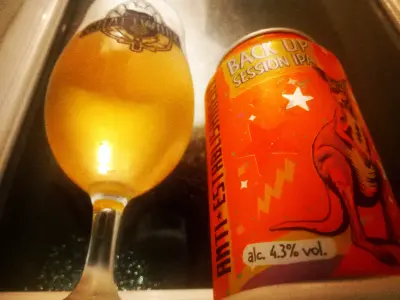 Olut's photo of Anti Establishment Back Up Session IPA