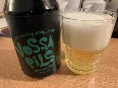 RuneBlix's photo of Vossapils