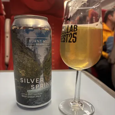Mr_Pink_152's photo of Silver Springs