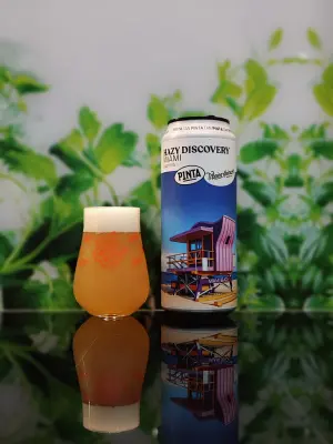 Oczek2015's photo of Hazy Discovery Miami