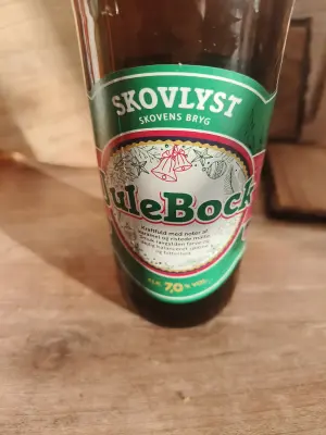 Charlotte's photo of Julebock