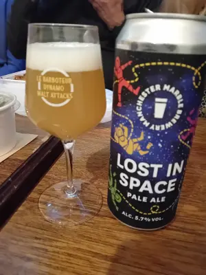 Sebletitje's photo of Lost In Space
