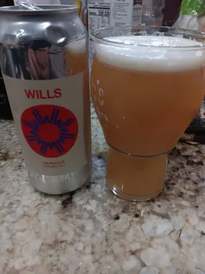 solidfunk's photo of NZ Pale Ale