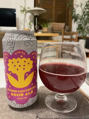 jhaase's photo of Strawberry Mango Elderflower Sour Ale