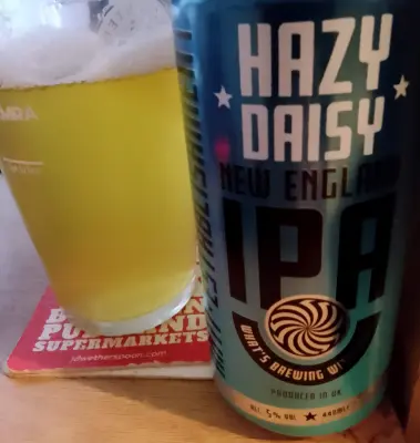 Deanso's photo of Anti Establishment Hazy IPA
