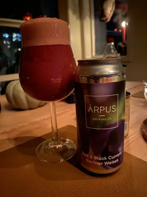 IpaPils's photo of Red & Black Currant Berliner Weisse