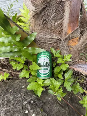 Irishboy's photo of Original