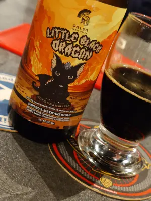 TomHendriksen's photo of Little Black Dragon